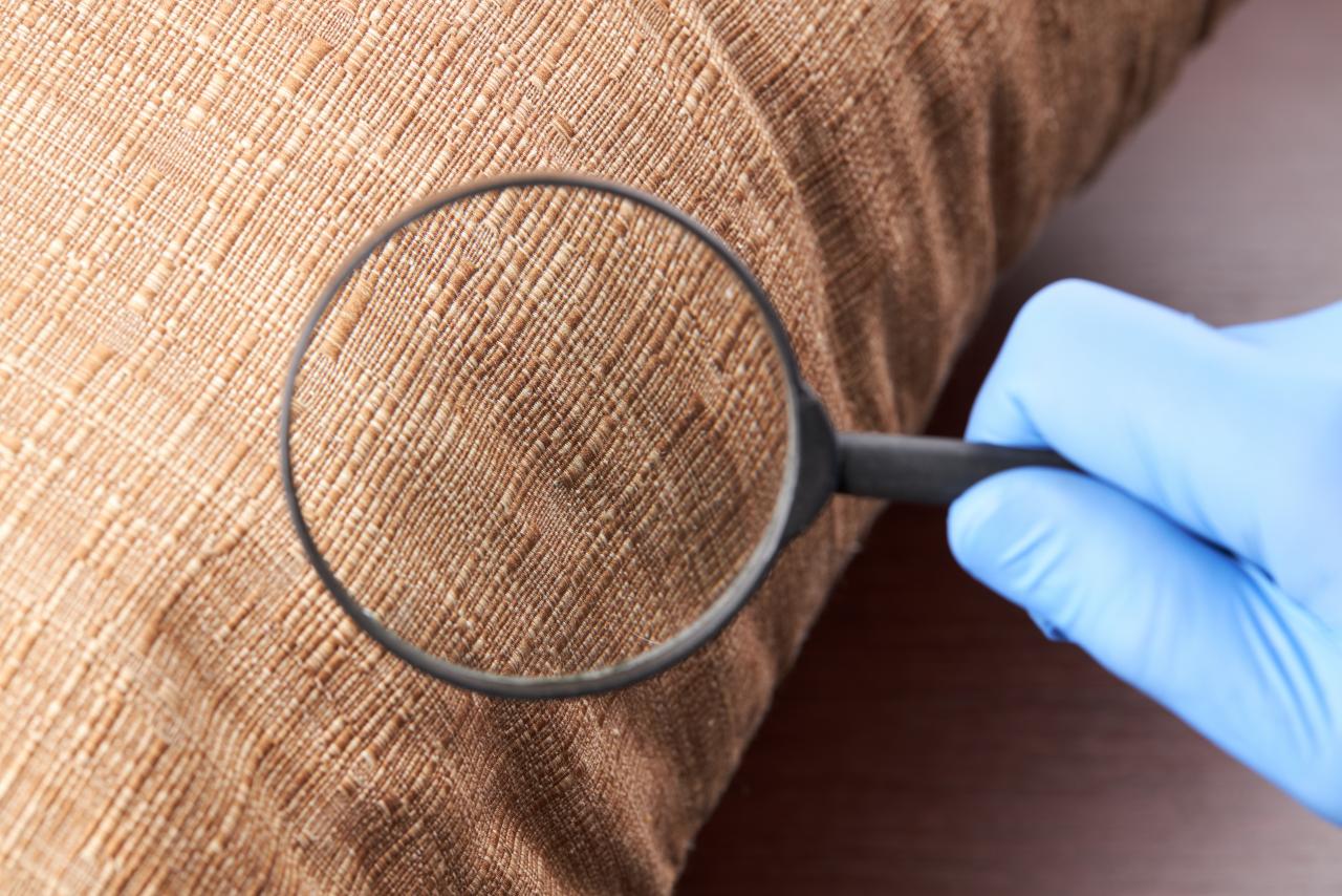 A gloved hand inspecting a piece of furniture for pests