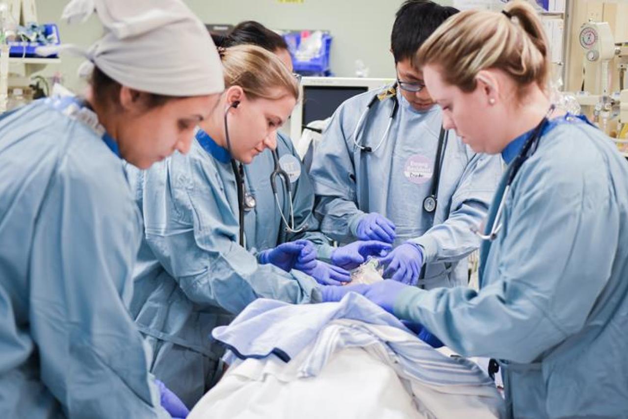 Photo of a REBOA simulation.