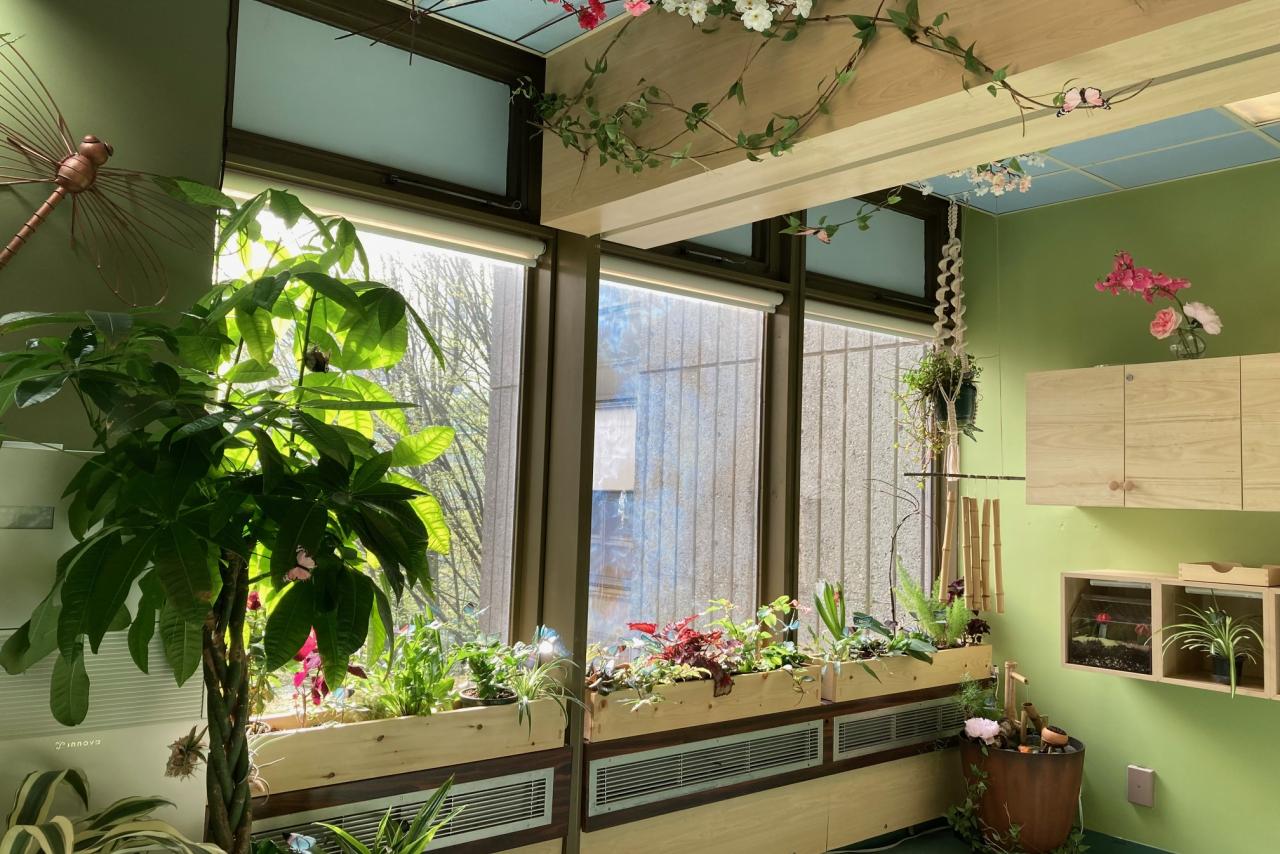 VCH Banfield Horticultural Therapy