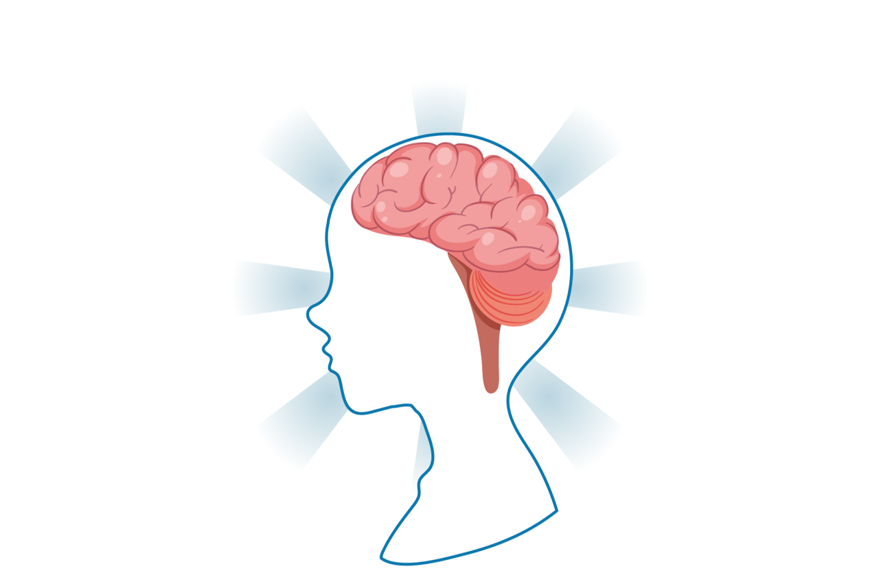 graphic of the brain