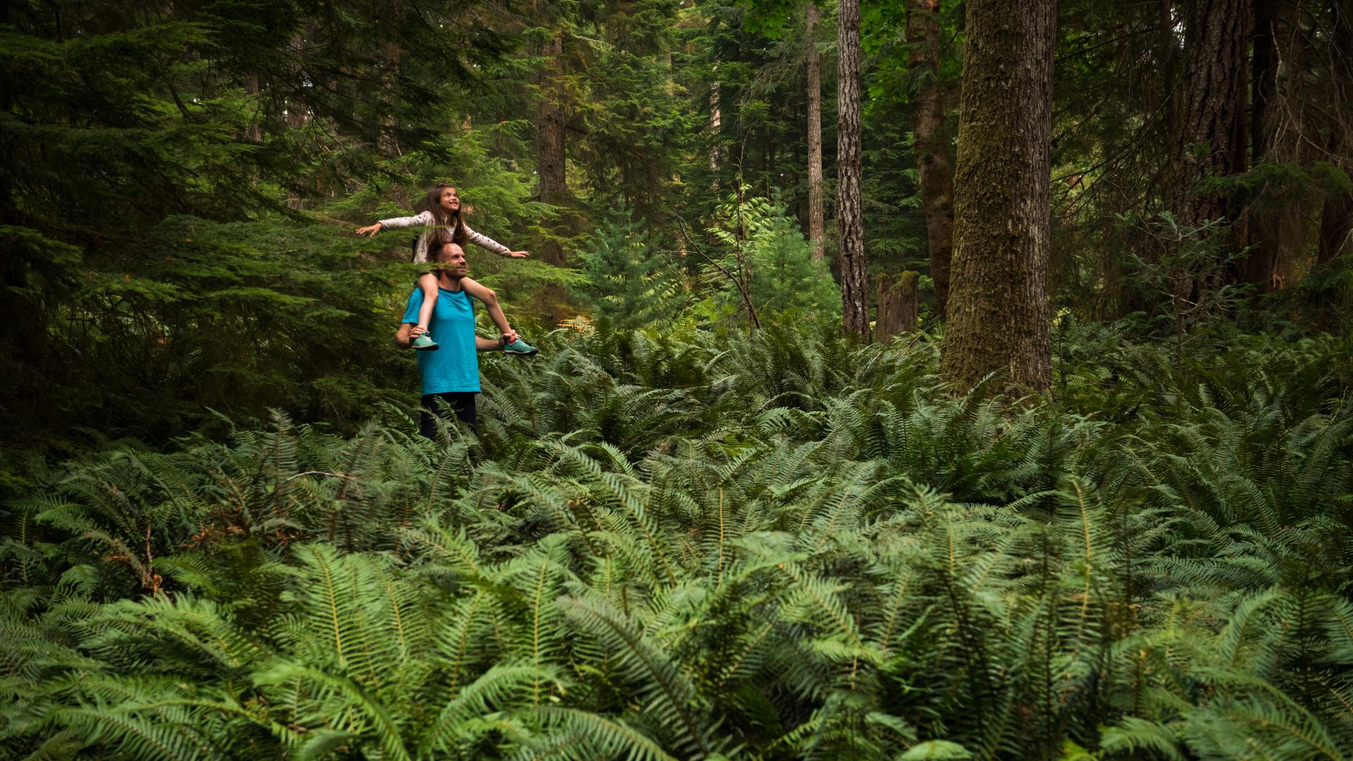 A father and daughter standing in a lush, green forest. 