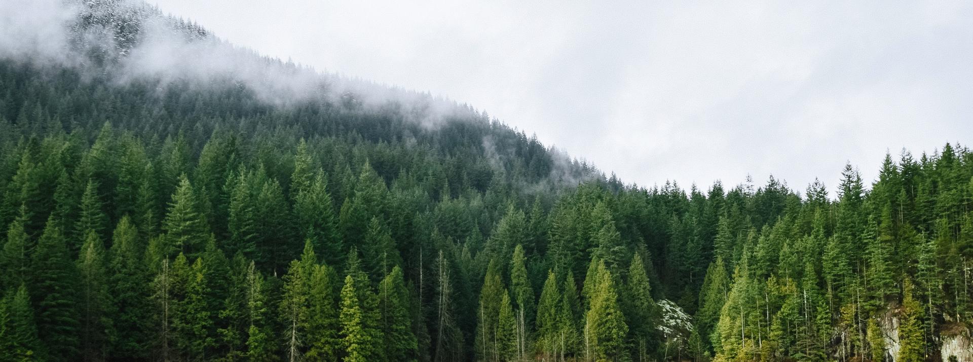 North shore mountains