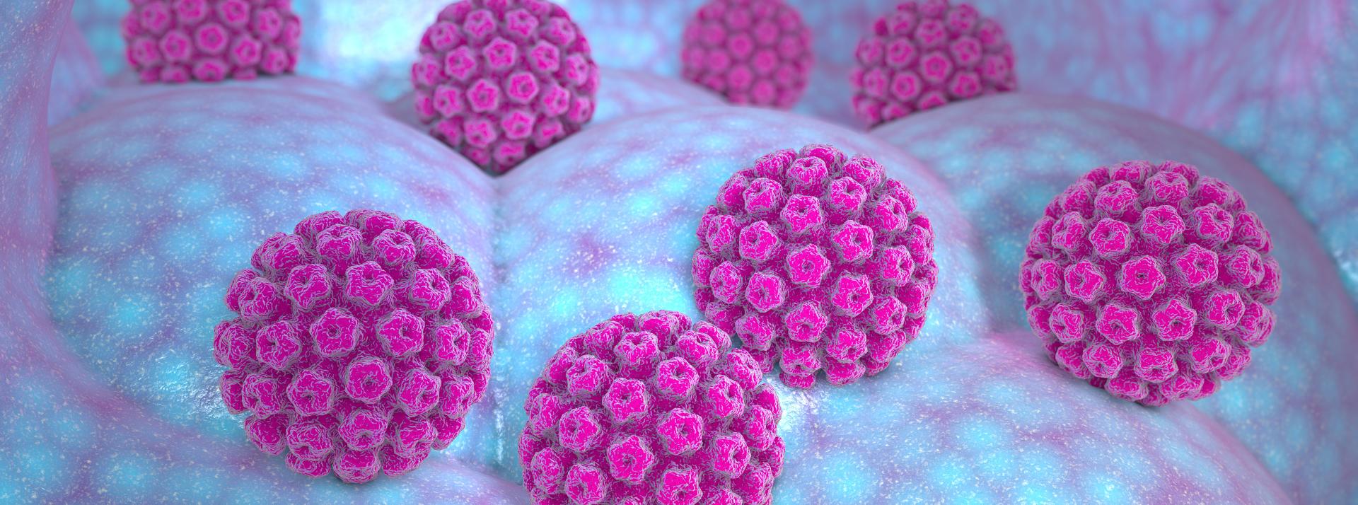 Computer render of a Human papillomavirus infection