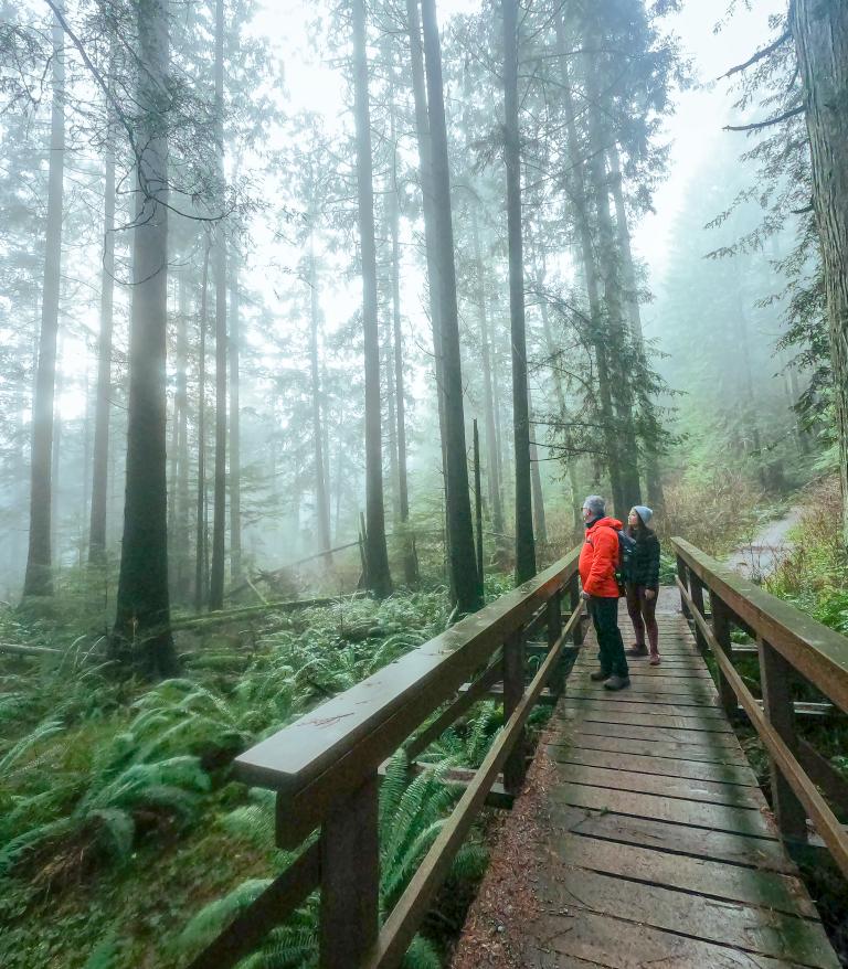 two people hiking in a forest