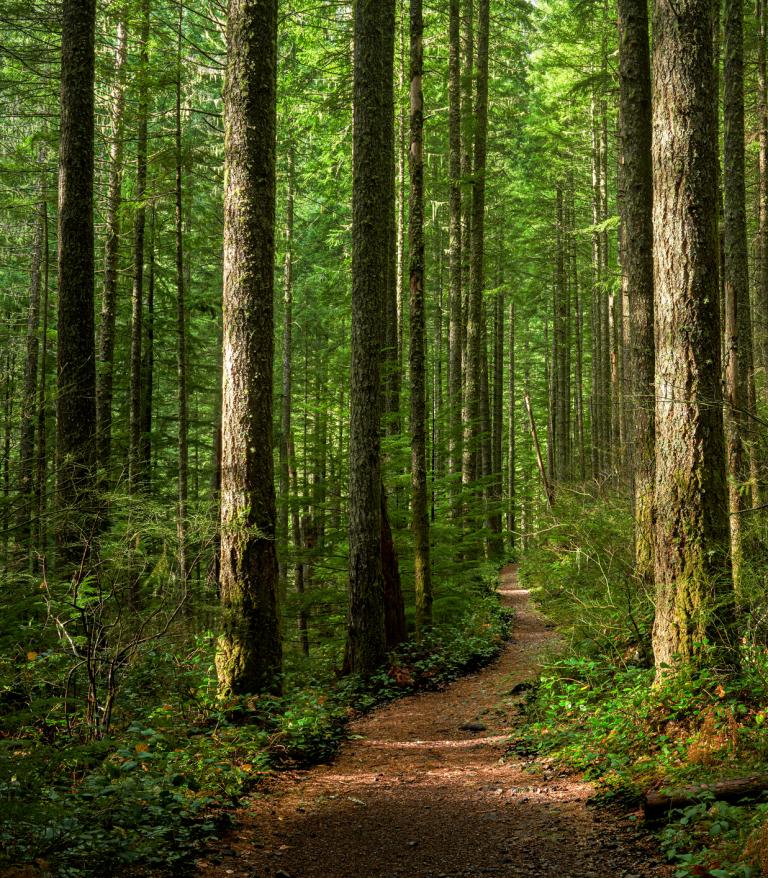 Pacific Northwest trail