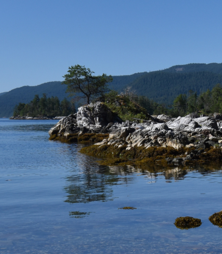 Sunshine Coast shoreline